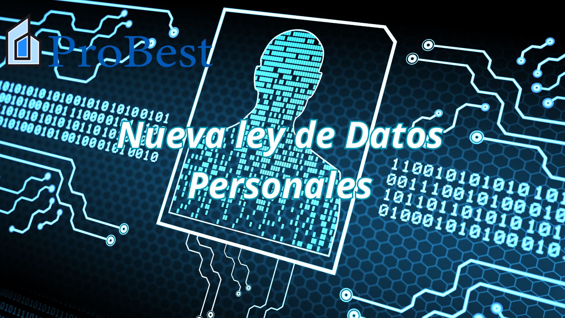 1.- Principios - Datos Personales